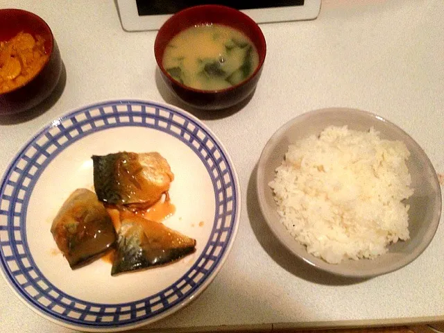 鯖の味噌煮|オノカズヤさん