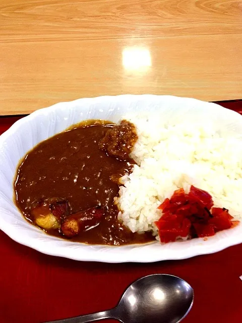 奥久慈しゃもカレー|みっちえるさん