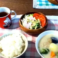 Snapdishの料理写真:ホワイトシチューとマカロニサラダ|yuffy.pecorenoさん