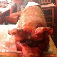 Snapdishの料理写真:หมูย่างตรัง 😋🐷|nutchaya Tanさん