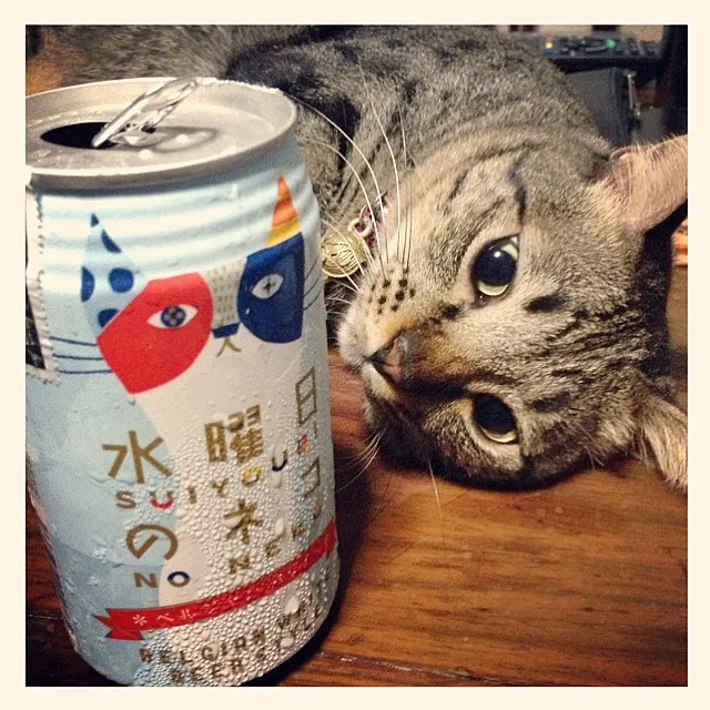 水曜日ですから、やっぱりこのビール★₍˄·͈༝·͈˄₎◞ ̑̑ෆ⃛|ジクさん