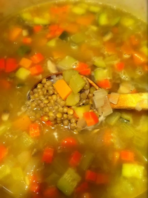 Snapdishの料理写真:Lentil Soup|kayoさん