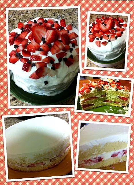 Fresh strawberry and cream cake.|Esther :dさん