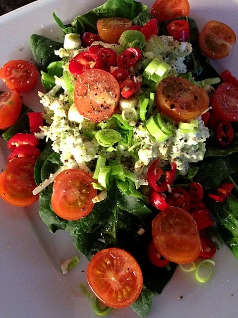 Avo cottage cheese salad|Melissa Besterさん