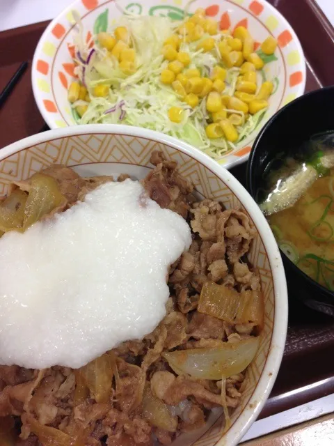 わさび山かけ牛丼+サラダセット 744kcal 480円|Shigechika AIKAWAさん