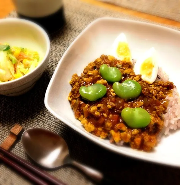 ヘルシーひき肉のカレーとコールスロー|Sakikoさん