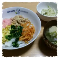 野菜不足解消メニュー。五色丼。もやしキュウリササミのサラダ。ワカメとお麩のお味噌汁|みのはた初海さん