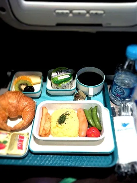 ガルーダインドネシア航空機内食。|tomoさん