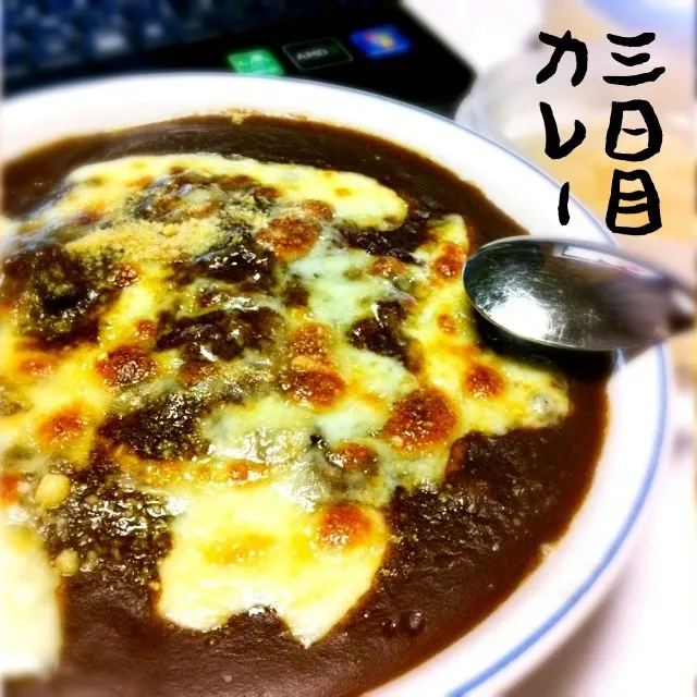 130329-3日目カレー #夕食|dune725さん