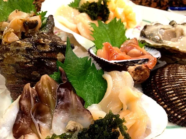 Assorted sashimi of fresh shellfish|do dyuさん