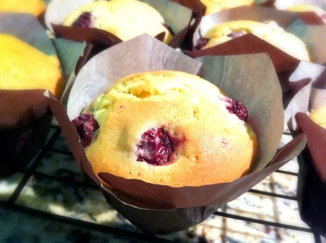 Sour Cherry Muffins 🍒|Nanaさん