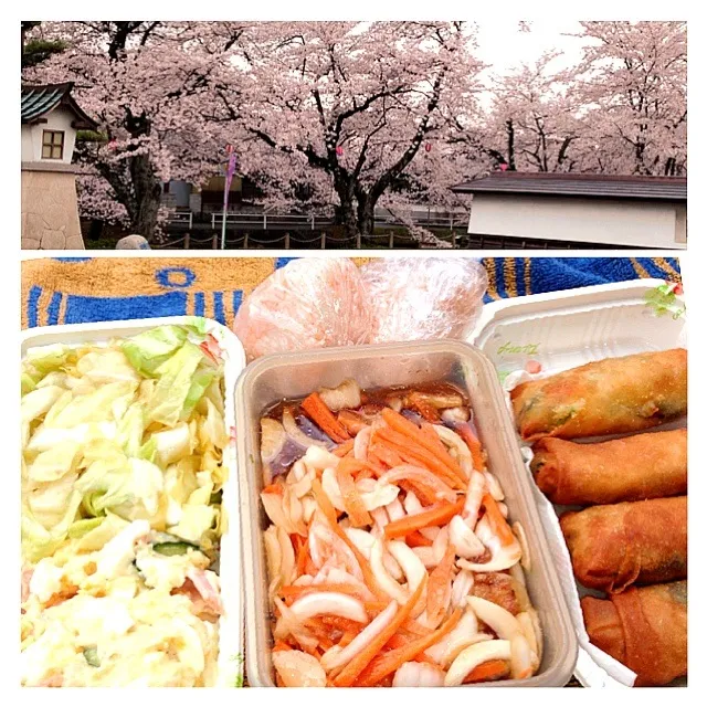 Snapdishの料理写真:お花見弁当|animoさん