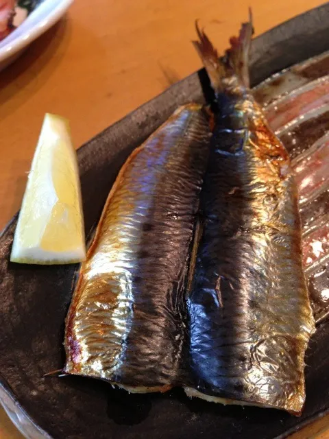 鰯の干物 碧南魚屋自家製|あきらさん