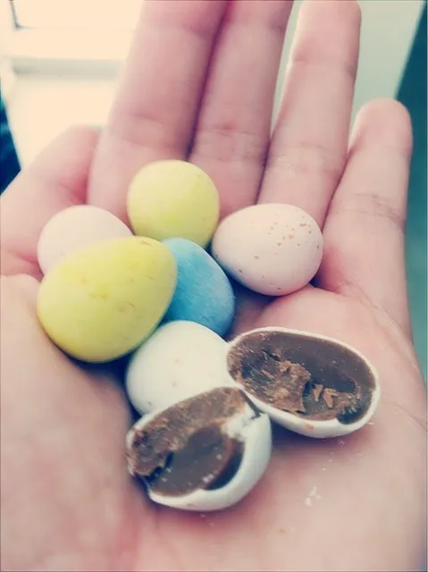 Mini Chocolate Cadbury eggs|Juliee ~ ジュリーさん