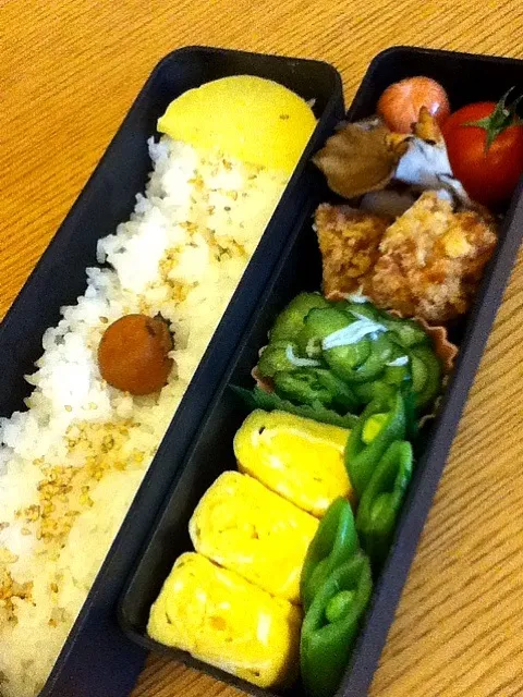 本日の旦那さん弁当|はやのり🌹さん