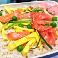 Snapdishの料理写真:Smoked salmon salad|Bert Kimuraさん