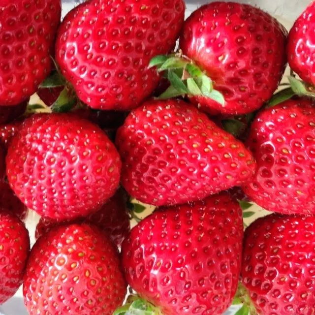 Snapdishの料理写真:Fresh strawberries|Bert Kimuraさん