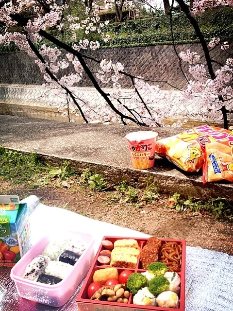 お花見弁当|かなぴさん