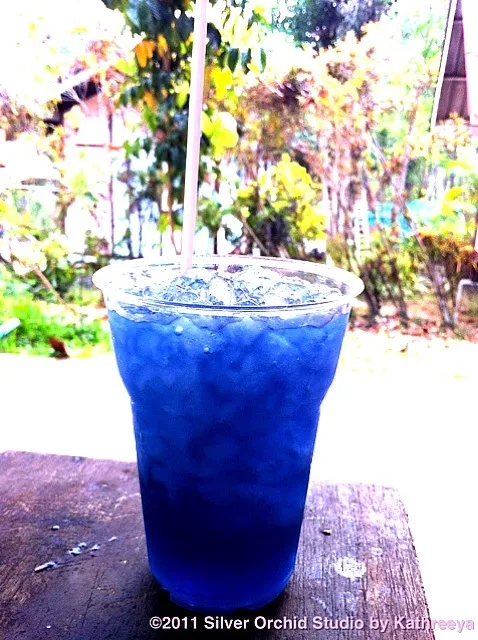 Butterfly Pea Juice|Picsy's Slaveさん