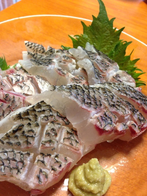 チヌ 湯引き