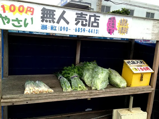 Snapdishの料理写真:ウチナー（沖縄）お野菜‼NOW‼|dabasyuさん