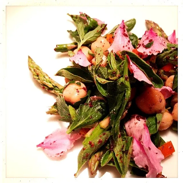 OREGANO AND SUMAC SALAD W/CELERAIC LEAF. SCALLION. ASPARAGUS. GARBONZO. LEMON JUICE. SEA SALT|GREG ARNOLDさん