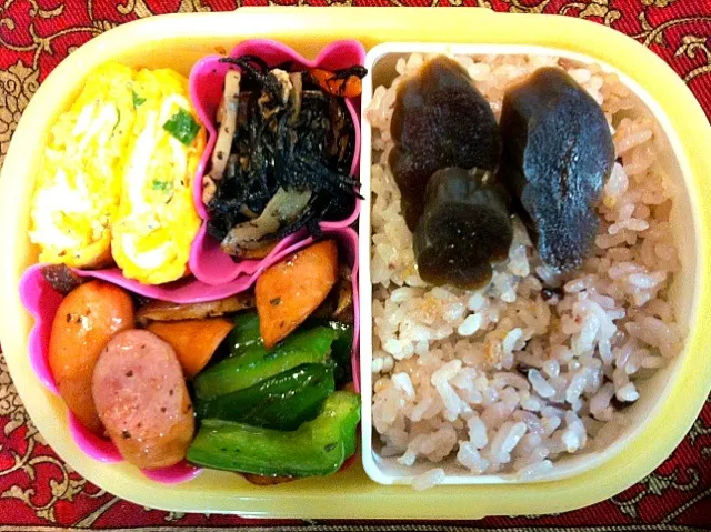 Snapdishの料理写真:ソーセージとピーマンのハーブ炒めとひじきの煮物弁当|もえさん