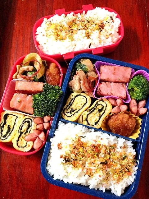 Snapdishの料理写真:パパ＆次女部活弁当|marinaさん