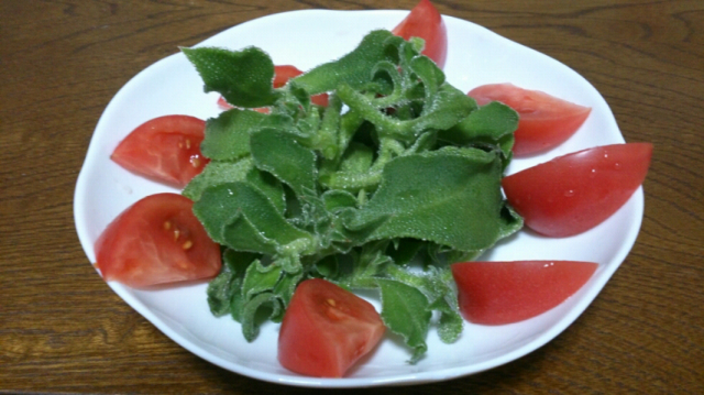 メタボ予防で注目の新野菜 アイスプラントの栄養価が凄い Snapdish スナップディッシュ