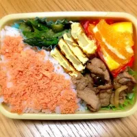 Snapdishの料理写真:春休みのお弁当☆彩り良し♪|satomiさん