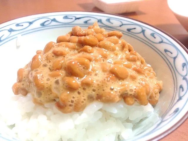 日本人なら納豆飯！|たぐっちさん