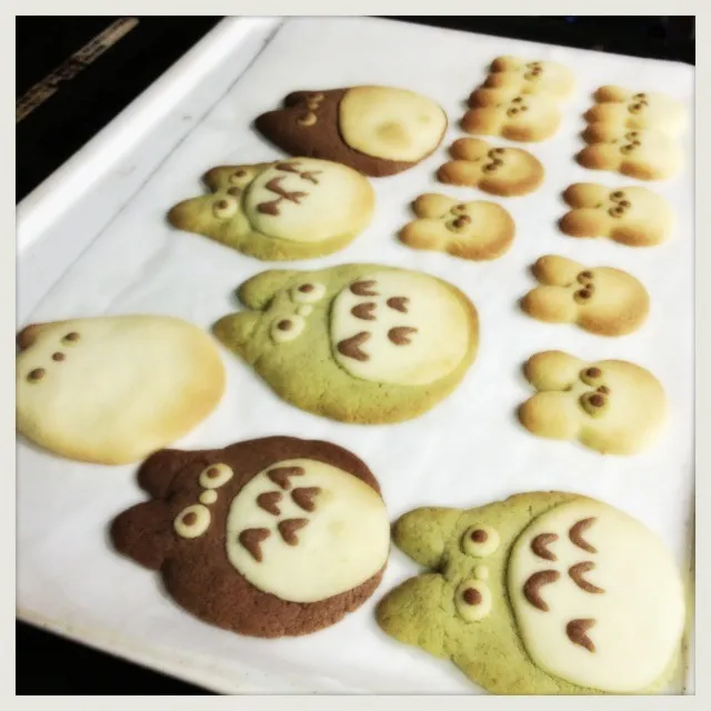 My's Totoro cookies for kids|vanessaさん