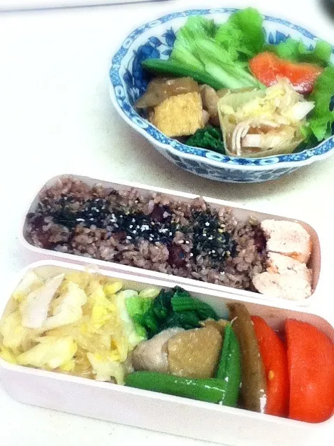 今日のJKランチプレート＆OL弁当。Today's my lunch box & lunch plate for daughter.|hoppycowさん