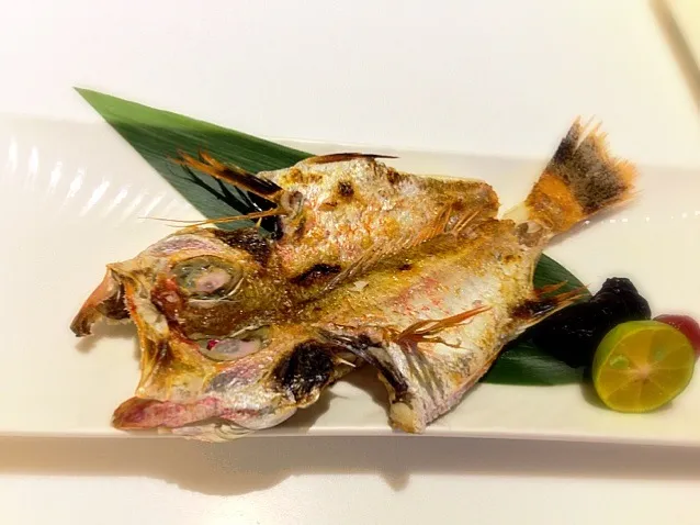 Snapdishの料理写真:Roasted fish @ Masa sushi|Larry Chuさん