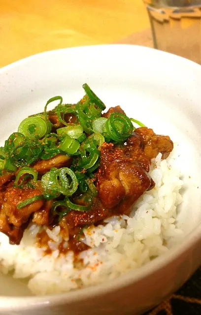 鶏もも 赤味噌煮込み丼|寺尾真次さん