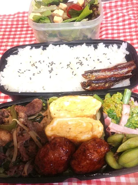 Snapdishの料理写真:4/5  肉野菜炒め弁当（長男晩ご飯）|yoshimiさん