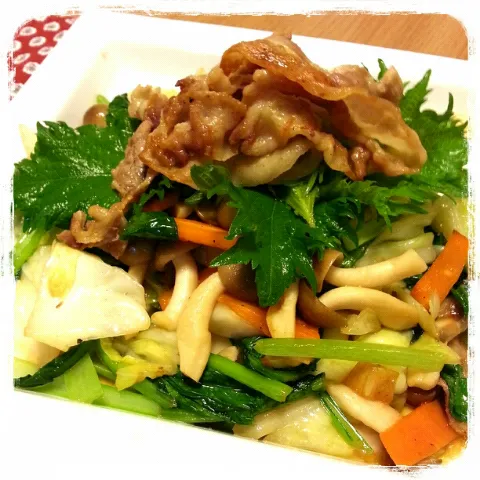 Snapdishの料理写真:✦豚肉とシソ葉のたっぷり野菜いため✦|*ikuko*さん