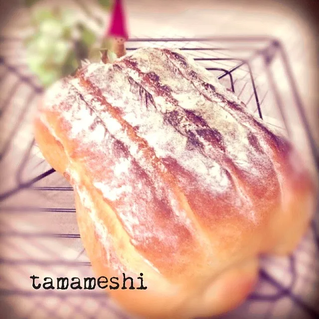 Snapdishの料理写真:tomoemoeさんの＊牛乳パン     みたび   不細工になっちゃった∵ゞ(≧ε≦๑)。*|tamaさん