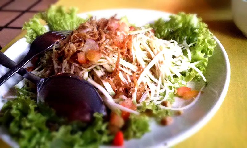 Manggo Salad|Diah Artaさん