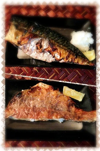 Dried overnight mackerel&red rockfish🐟鯖と赤魚の一夜干し|🌈Ami🍻さん