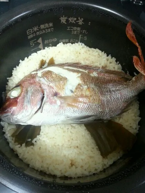 炊飯器で鯛飯|野崎恵理さん