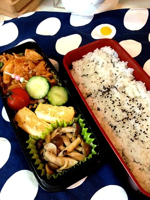 高校生弁当 豚肉とケチャップ炒め|よよさん