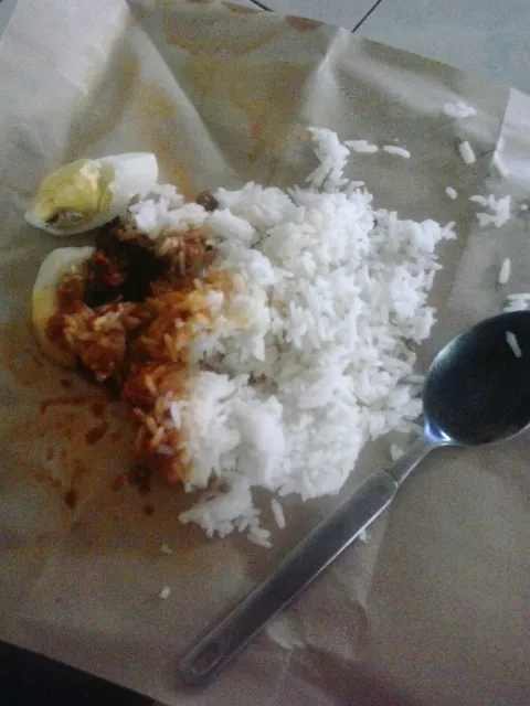 nasi lemak ikan bilis|siti nur ainさん