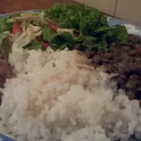 Arroz, pollo, ensalada, lenteja|Abner Alzolayさん