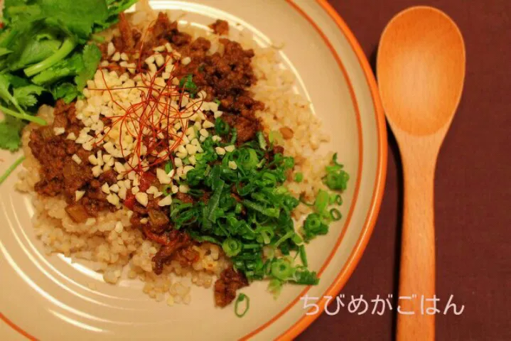 ちびめがどらいカレー|ちびめがさん