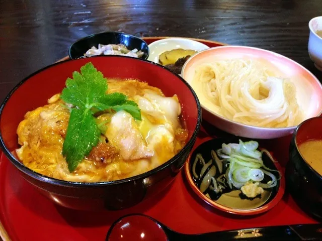 親子丼と冷やしうどん|chan mitsuさん