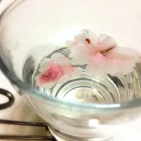 桜茶😊