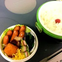 Snapdishの料理写真:お弁当|夢ノさん