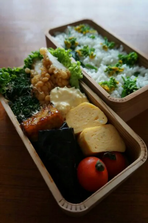 菜の花ごはん弁当|キヨシュンさん