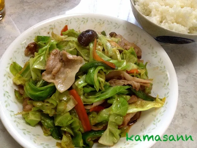 野菜炒めなお昼ご飯♪|かまさん